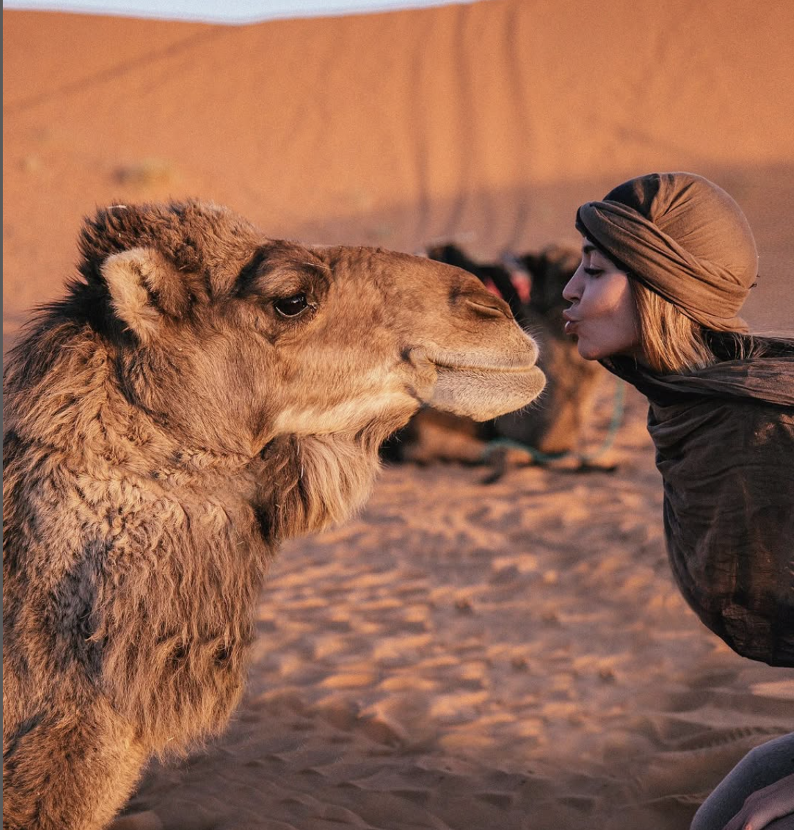 Marrakesh Magic Group Trip photo 12